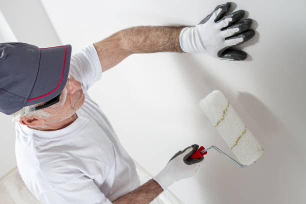 Best Drywall Sanding and Smoothing  in Salamanca, NY